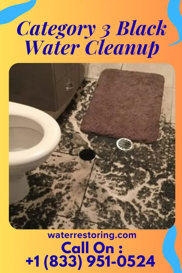 Category 3 Black Water Cleanup in Georgetown, PA