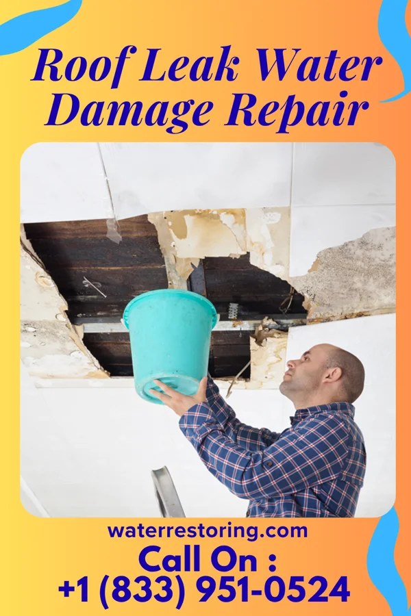 Roof Leak Water Damage Repair in Georgetown, PA