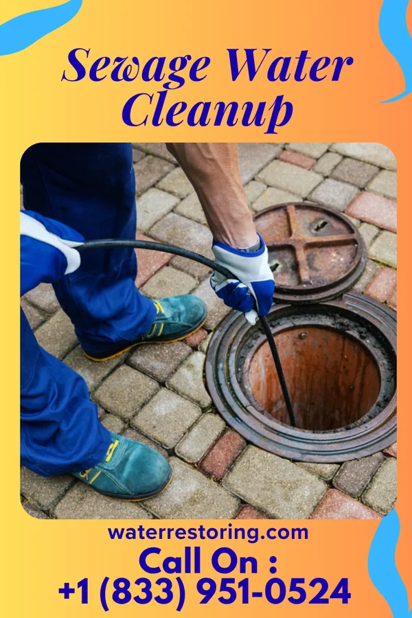 Sewage Water Cleanup in Georgetown, PA