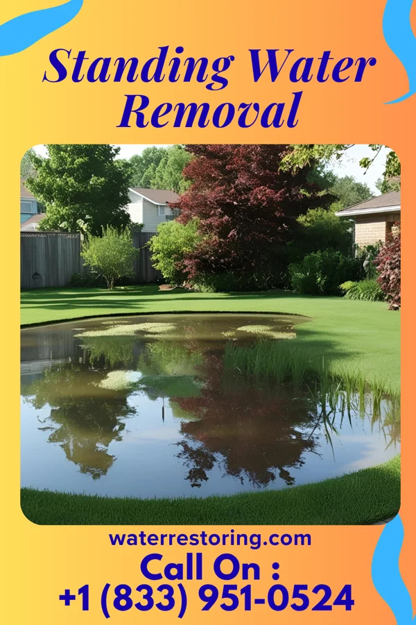 Standing Water Removal in Georgetown, PA